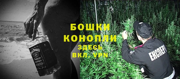 PSILOCYBIN Нефтегорск