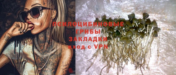 PSILOCYBIN Нефтегорск