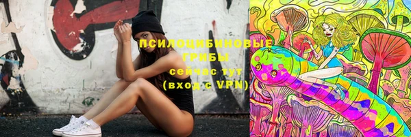 PSILOCYBIN Нефтегорск