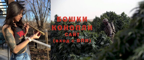 PSILOCYBIN Нефтегорск